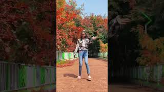 bidar dancer kannada song banjara banjaragirl [upl. by Dayiz]