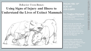 From Bones to Behavior Dr Meaghan Wetherell [upl. by Annait]