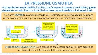 PROPRIETA COLLIGATIVE  La pressione Osmotica [upl. by Finnigan]