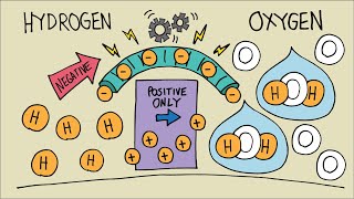 How Does a Hydrogen Fuel Cell Work │ Simple Explanation [upl. by Weaks773]