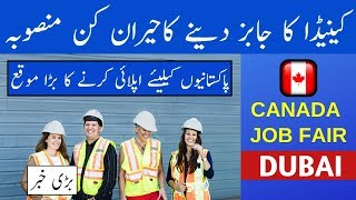 CANADA OFFERING NEW JOBS THROUGH UAE JOB FAIR  NEW BRUNSWICK PNP VISA [upl. by Ayitahs]