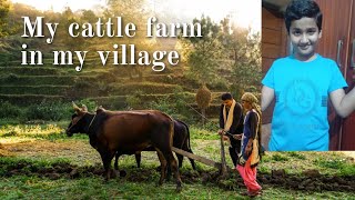 My mini cattle farm 🚜cattal farm My sweet village [upl. by Porett]