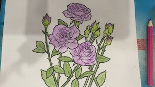 Color the picture of roses [upl. by Farrand]