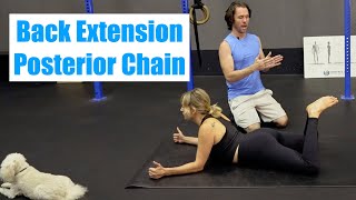 Egoscue ACTIVE COBRA Spinal Extension Posterior Chain [upl. by Tallia]