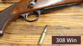 308 Winchester Workhorse of The Shooting World [upl. by Melentha]