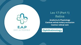 Lec 17 Part 1  Retina Anatomy  Central retinal artery amp vein occlusion  Ophthalmology 41 [upl. by Thurlow]