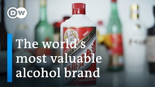 Moutai – Chinas communist spirit  DW Documentary [upl. by Materi]