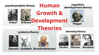 Human Growth and Development Theories [upl. by Refynnej885]