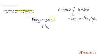 Which one is component of ferredoxin [upl. by Fortunio]