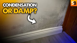 Is This Condensation or Rising Damp [upl. by Reg]