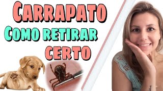 Como eliminar o carrapato do cachorro do jeito certo Onde jogar o carrapato depois de retirar [upl. by Marmawke279]