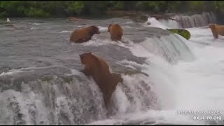 Katmai Brooks Falls Cam BFL Bear  32 Im coming after you 07172024 [upl. by Vashtee951]