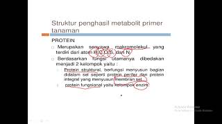 metabolit primer sekunder part1 [upl. by Ylelhsa]