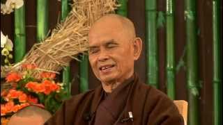 Are you Sure  German Retreat  Full Q amp A with Thich Nhat Hanh 2013 06 15 [upl. by Nereus]