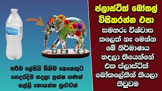 ඔබ මේවා දකින්නේ ජිවිතේ පළමු වතාවට EP408 [upl. by Adlih]