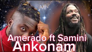 Amerado ft Samini  Ankonam remix Reaction [upl. by Shaina]