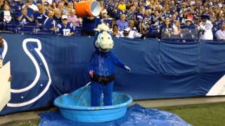 Colts Mascot ALS Ice Bucket Challenge [upl. by Atirak]