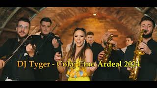 DJ Tyger  Colaj Etno Ardeal 2024 [upl. by Nibuz]