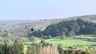 Morning from Castleton  north York moors [upl. by Aleihs]