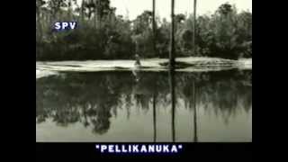 Vaaduka Marachedavela  Pelli Kanuka 1960 [upl. by Afrika]