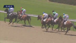 COURSE ÉCOLE Prix de lEcole des Courses Hippiques  Deauville  6 juillet 2016  GALOP [upl. by Volpe626]