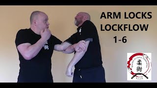 ARM LOCKS LOCK FLOW 16 [upl. by Anaitit]