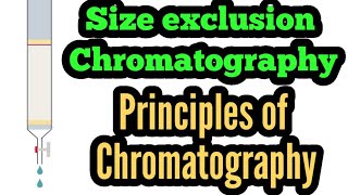 Part5 Principles of chromatography  size exclusion chromatography  Chromatography [upl. by Niad899]