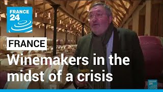 France Bordeaux winemakers in the midst of a crisis • FRANCE 24 English [upl. by Bosch181]