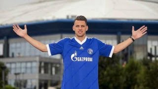 Adam Szalai  New Schalke 04 Striker  Goals  Skills 2013 HD [upl. by Tarr357]