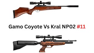 Kral NP02 Vs Gamo Coyote [upl. by Enelym]