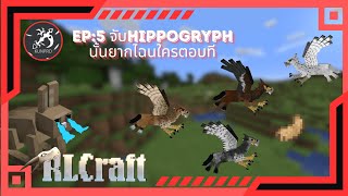 RLcraft ep5 จับhippogryph นั้นยากไฉนใครตอบที [upl. by Mahgirb167]