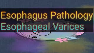 Esophageal Varices esophagus pathology part4 robbins [upl. by Ormsby]