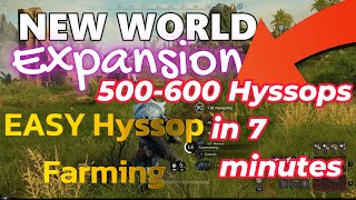 New World Hyssops Farm 2023 [upl. by Cristoforo]