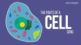 THE PARTS OF A CELL SONG  Science Music Video [upl. by Dowling816]