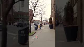 Meandering Along The Danforth 🇨🇦 toronto torontolife shorts [upl. by Ijat42]