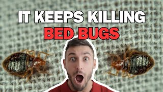 It Keeps Killing Bed Bugs Watch How bedbuginfestation [upl. by Nimajeb]