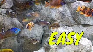 HOW TO SETUP AN AFRICAN CICHLID TANK [upl. by Niletac]