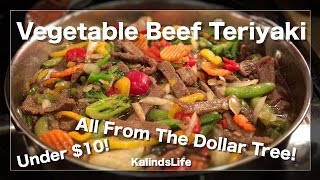 How to make the Best Vegetable Beef Teriyaki Stir Fry Recipe Ever All bought at The Dollar Tree [upl. by Rida]