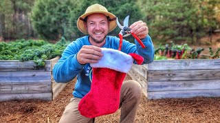 Top 10 Gift Ideas For Gardeners [upl. by Enilorac]