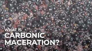 What is Carbonic Maceration [upl. by Airotkciv655]