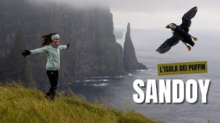 DOVE vedere i PUFFIN sull’isola più DESERTA delle FAROE 🐧 [upl. by Sirromed]