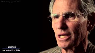 Jon KabatZinn Mindfulness 9 attitudes  patience [upl. by Fridell291]