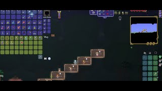 becoming rich in terraria modded [upl. by Liauqram]