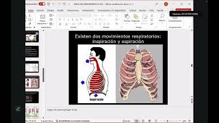 Cursillo de neumología 1 [upl. by Urbannai838]