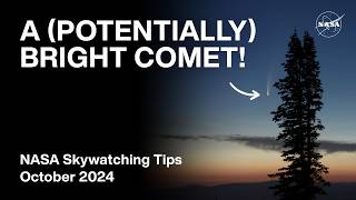 Whats Up October 2024 Skywatching Tips from NASA [upl. by Naie]