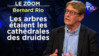 Les secrets de la forêt des Celtes  Le Zoom  Bernard Rio  TVL [upl. by Lemuelah]