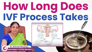 How Long Does IVF Process Take  IVF Procedure Step by Step  DrShaivalini  AMVI Hospitals [upl. by Rasecoiluj]