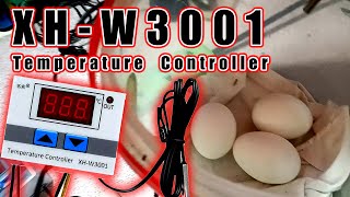 XHW3001 Temperature Controller for DIY Egg Incubator KURYENTECH [upl. by Avon]