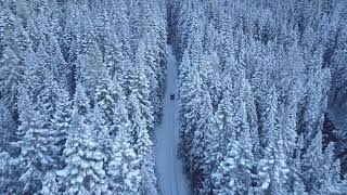 FREE STOCK VIDEO FOOTAGE  Car Driving on a Snowy Road in Forest [upl. by Enaillil564]