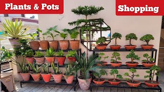 नर्सरी से लाए मेरे नए परमानेंट पौधों के नाम Names of my new plants amp pots shopping with price [upl. by Einhorn721]